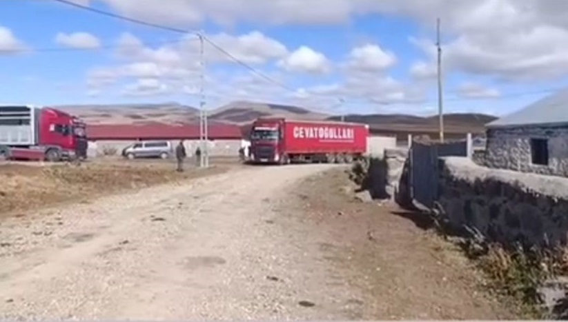 Gökçek Hayvancılık